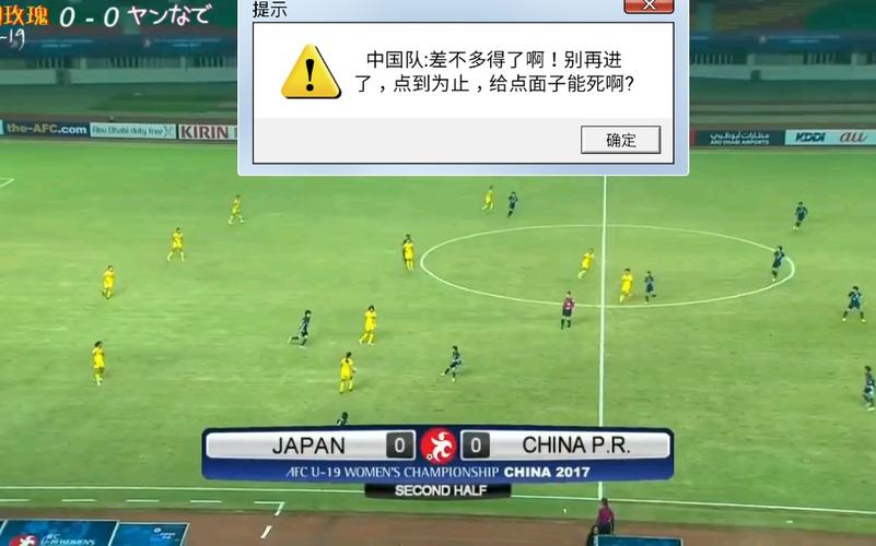 中国队vs日本游戏